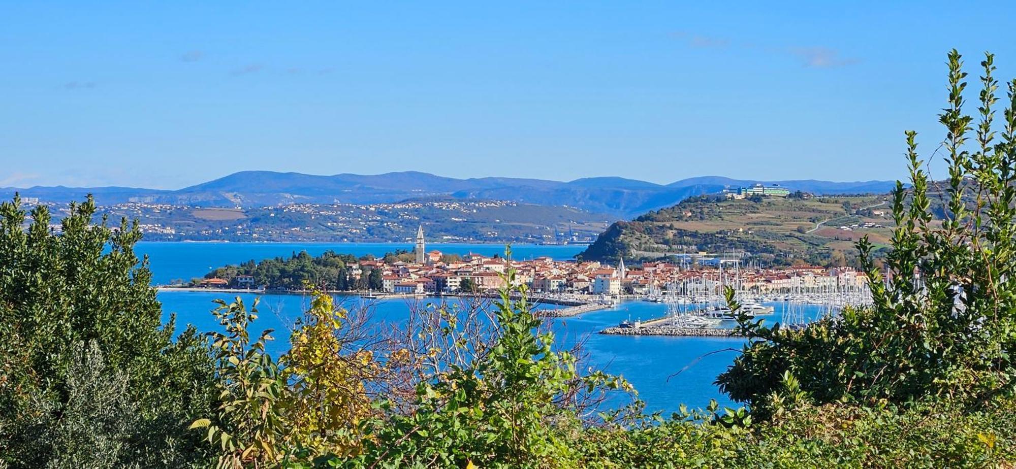 Sea View Apartment Renzzo Strunjan Eksteriør billede