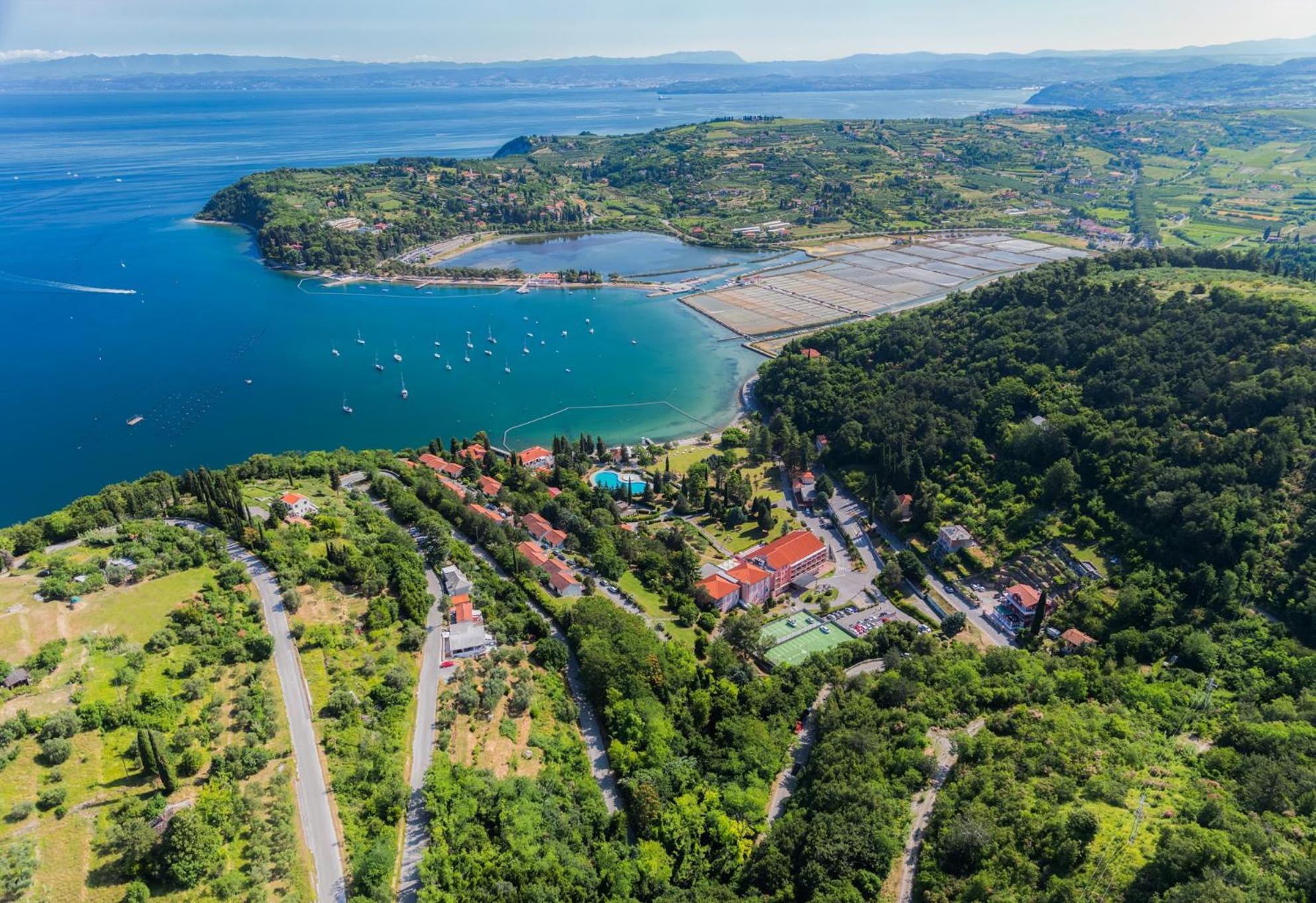Sea View Apartment Renzzo Strunjan Eksteriør billede