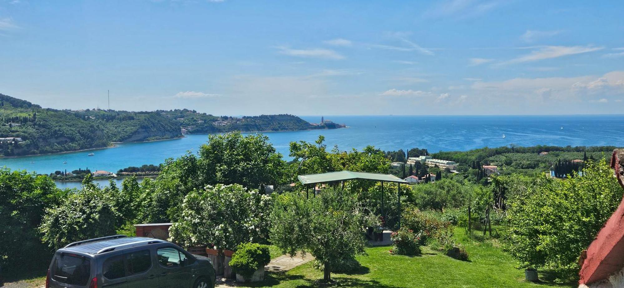 Sea View Apartment Renzzo Strunjan Eksteriør billede