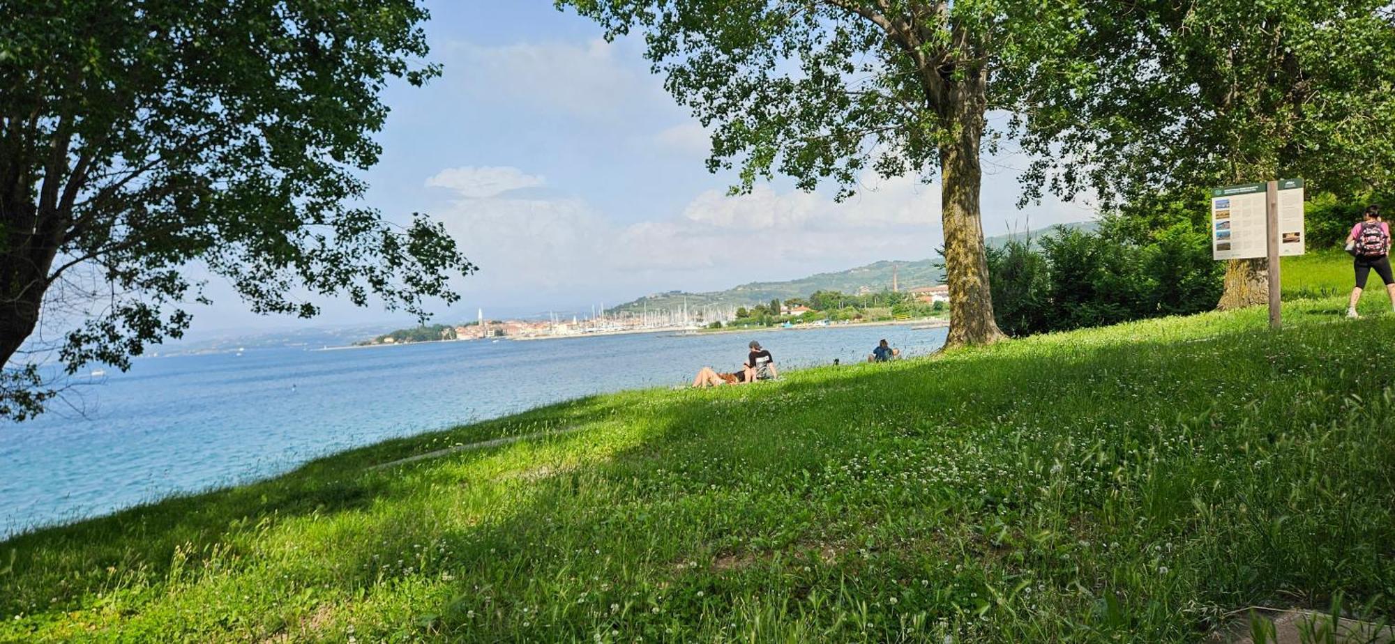 Sea View Apartment Renzzo Strunjan Eksteriør billede