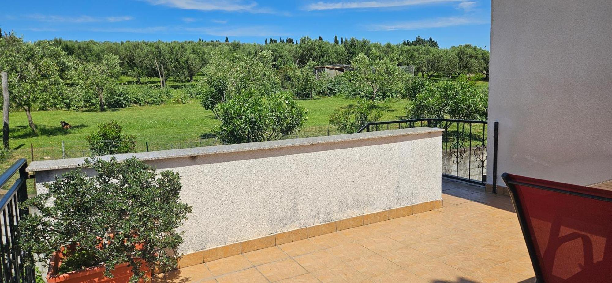 Sea View Apartment Renzzo Strunjan Eksteriør billede