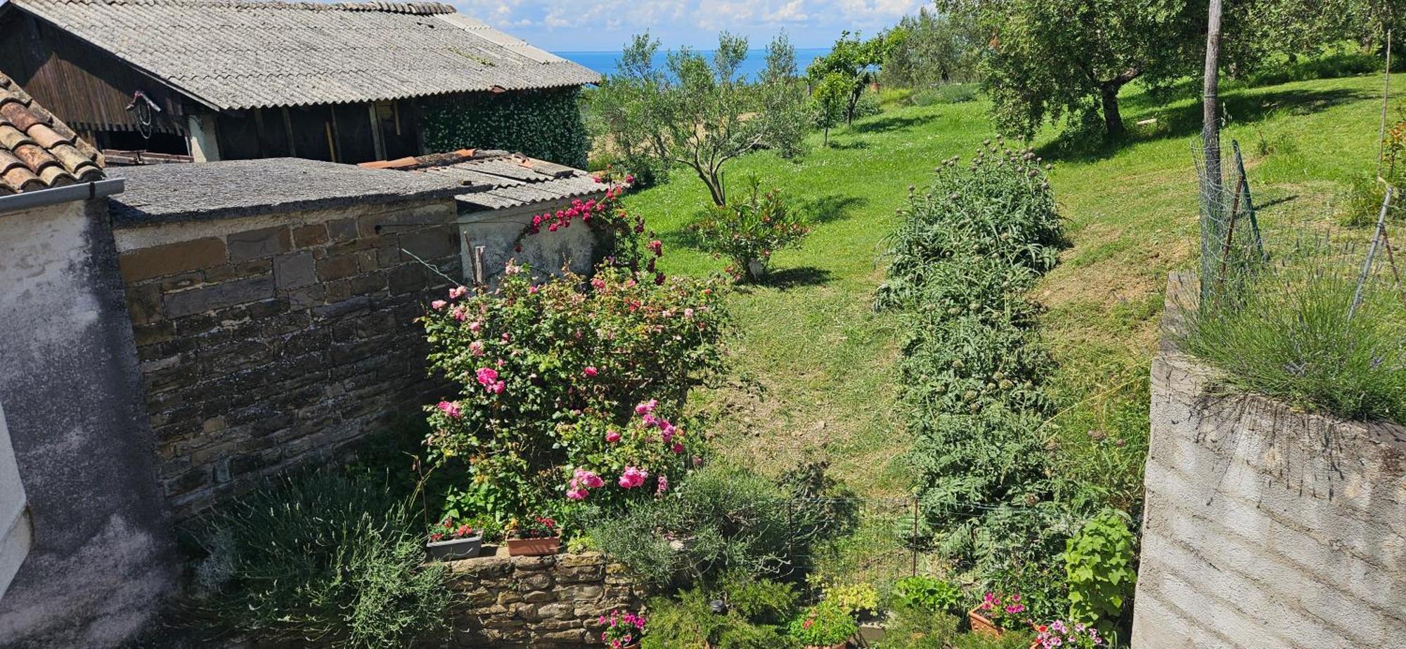 Sea View Apartment Renzzo Strunjan Eksteriør billede
